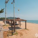 장사해수욕장 이미지