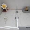 멍하우스 이미지