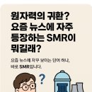 에스엠알(SMR)