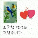 힐링주유소 이미지