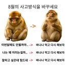 꼬꼬마니 | 정답은 모르겠고 오답은 꽤 모았습니다