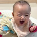 소이조이 이미지