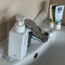 남해하이맘키즈블랙 이미지