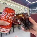 진베리코 이미지