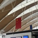 옌타이 | 중국 입국심사서 QR 발급 사이트, 작성방법 총정리 (옌타이 입국 후기)