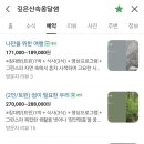 [골목]기체조 | 4박 5일 [전라도+경상도/충주] 기록 - Day 4 (깊은산속옹달샘)