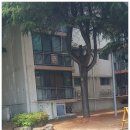 모현주공2 이미지