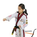 브레인태권도 이미지