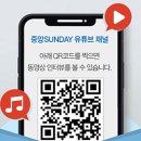 중앙번역
