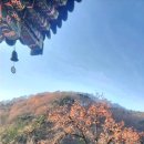 상원육계 | 나주[천년고찰] 덕룡산(432.9m) 운흥사 Deokryongsa Mt. Woonheungsa Temple.