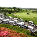 제주부동산중개법인 이미지