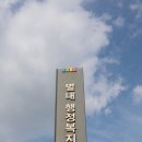냠냠숯불두마리치킨남양주 네이버블로그