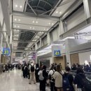 1301 | QR 859 기내식, 스타링크 후기 및 디스커버리카타르 레이오버 투어, 이집트 카이로행 QR 1301 기내식 후기