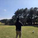 오라CC | 제주 오라cc 회원제 남코스 라운드 후기