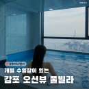한강빌라 앞 | 개별 수영장이 있는 오션뷰 경주 에스앤비풀빌라 1박 후기