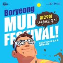 보령머드축제, 머드 체험부터 EDM 공연까지 이미지