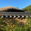 위너게임장 이미지