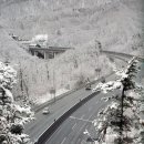 하얀이불 이미지