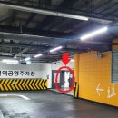 잠실맥스웰성형외과의원 이미지