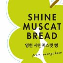 스페셜샤인 이미지