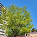 다슬기 유치원 이미지