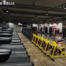 얼라이브 휘트니스 네이버블로그