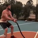 베어리핏 이미지