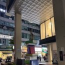 인계로 | 눈썹쟁이 인계동/인계동속눈썹펌 잘하는 곳 인계동 무쌍속눈썹펌 찐 만족후기!