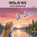 아이노