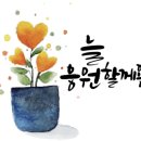 스마트폰 활용지도사1급 양성 과정 이미지