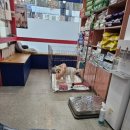 세븐동물병원 이미지