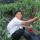 탑골농원 이미지