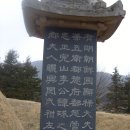 더핀 이미지