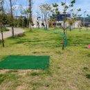 파크골프공원 파크골프장 이미지