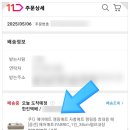 내돈내산 쿠디 에어매트 캠핑 에어매트 솔직 후기ㅣ쿠디에어침대 펌프 활용법
