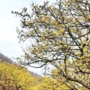 연인의길 화장실 이미지