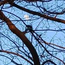 인중무태극권인선당 이미지