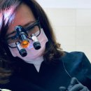 크라운 행정사 이미지