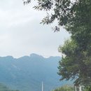 신선대 중턱 네이버블로그