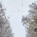 광명시립국궁장 이미지