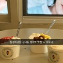 젤라떼리아피오니 이미지