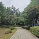 다이아공인중개사사무소 이미지