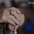 제주도립노인요양원 네이버블로그