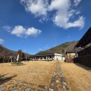 팔봉수피아 | 홍천 팔봉수피아 애견 동반 카페 + 자연 감성 힐링 공간｜팔봉산 카페 추천 + 강아지 동반 꿀팁