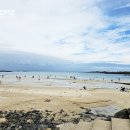 오봉리 - 우 이미지