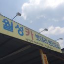 월성카 이미지
