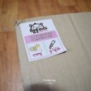 니오라 자연주의 건강쉼터 | 햄토피아 : 골든햄스터 용품 구매 후기 (세미 자연주의)