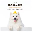 강아지 호텔 이미지