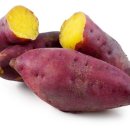 목감시티동물병원 이미지