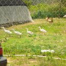 윤씨네농장 이미지